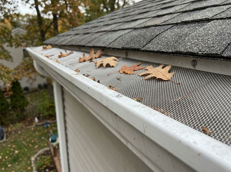A gutter covered by a mesh gutter guard
