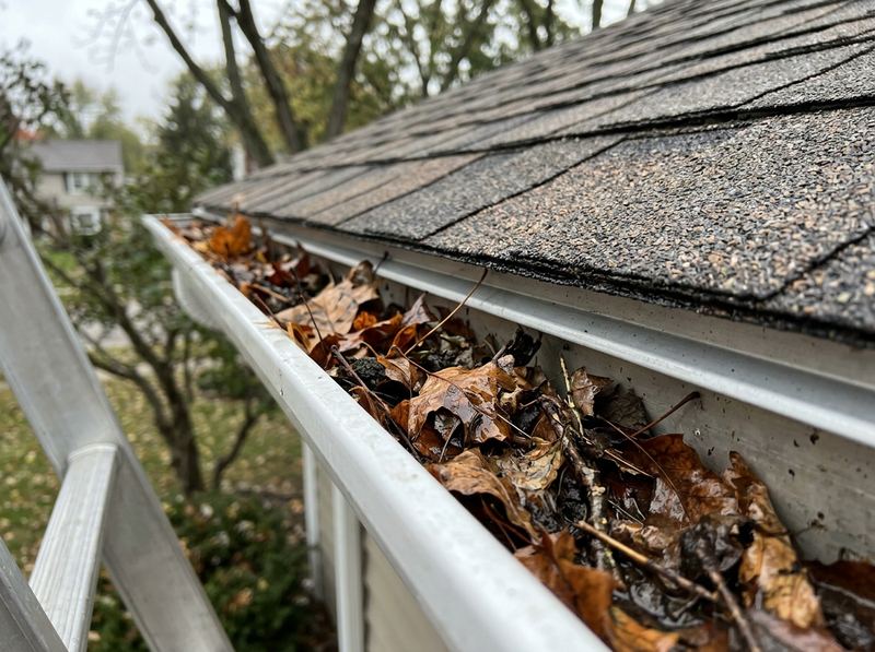 An open gutter full of wet fall leaves