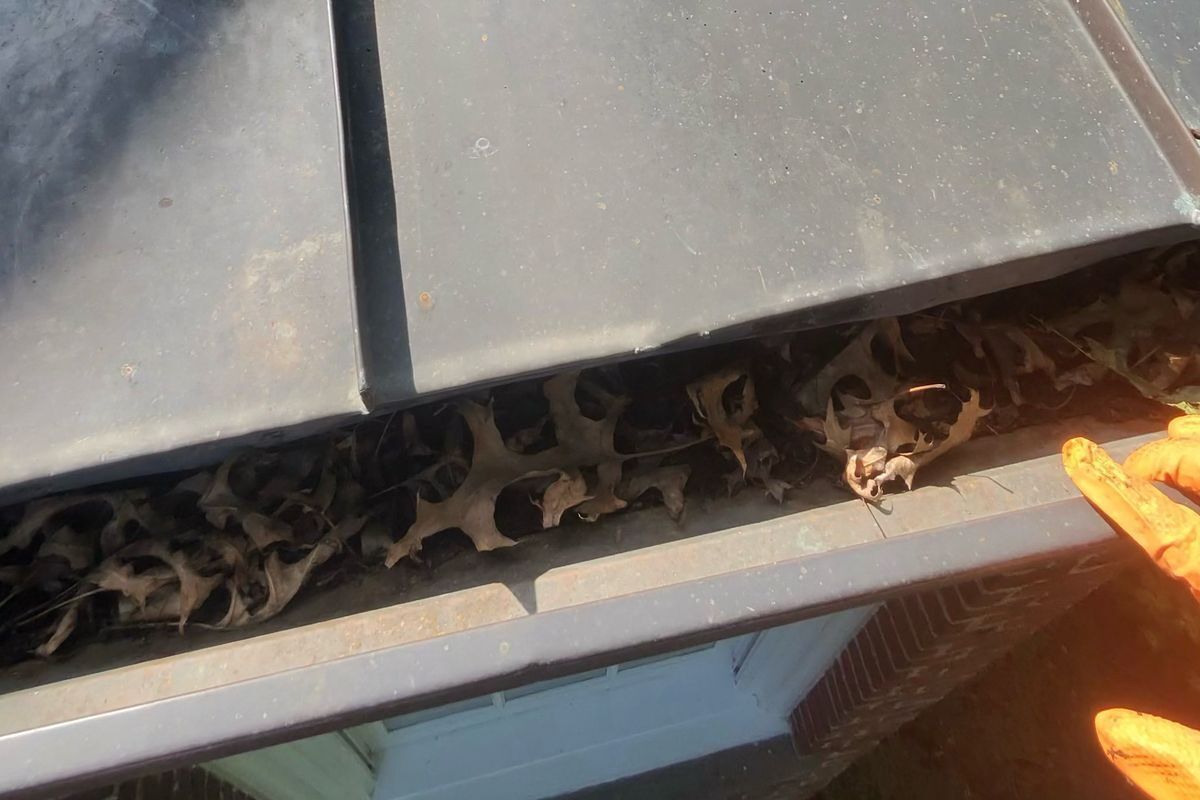A Rockland gutter packed with dry oak leaves
